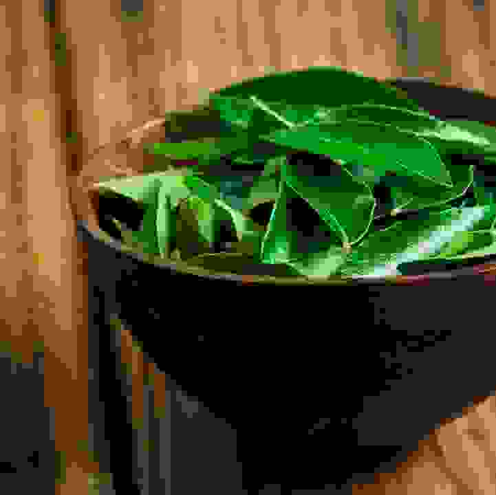 Culinary Creations: Curry Leaf