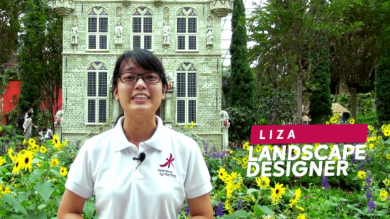 Episode 2: A day in the life of a landscape designer