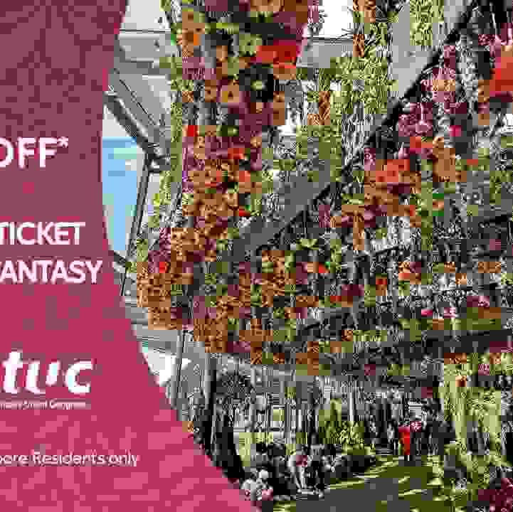 10% off Floral Fantasy for NTUC Members