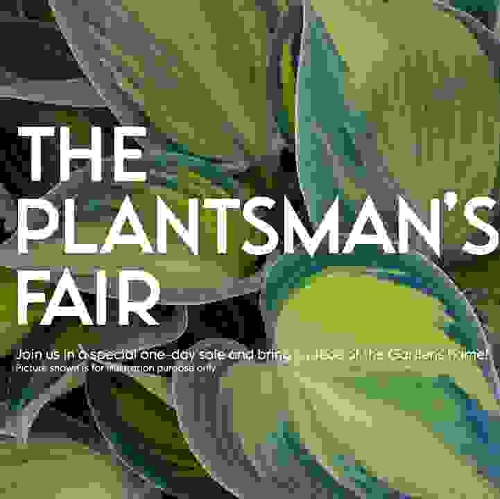 The Plantsman's Fair